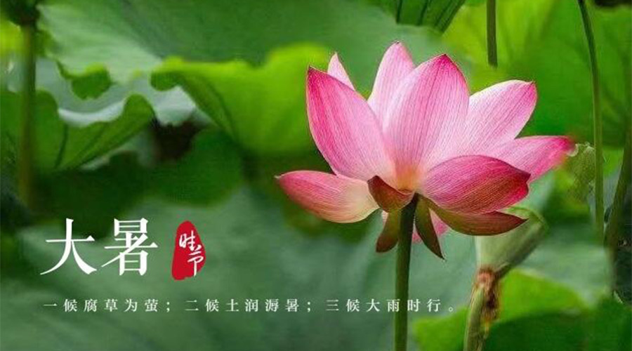 大暑時(shí)節(jié)！金環(huán)電器提醒大家要注意的事項(xiàng)