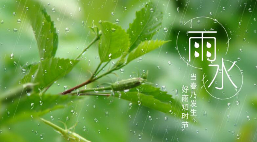 雨水時節(jié)！金環(huán)電器提醒大家要注意的事項